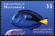 Colnect-4657-427-Palette-Surgeonfish---Paracanthurus-hepatus.jpg