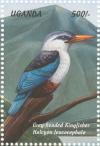 Colnect-1715-782-Grey-headed-Kingfisher-Halcyon-leucocephala.jpg