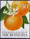 Colnect-2956-785-Orange-Citrus-sinensis.jpg