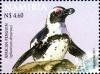 Colnect-3063-959-African-Penguin-Spheniscus-demersus.jpg