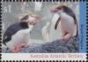 Colnect-4714-585-Royal-Penguin-Eudyptes-schlegeli.jpg