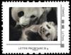 Colnect-5518-585-Yuan-Meng-le-Panda-de-Beauval.jpg