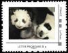 Colnect-5518-588-Yuan-Meng-le-Panda-de-Beauval.jpg