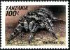 Colnect-5546-511-Jumping-Spider-Salticus-sp.jpg