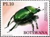 Colnect-5780-508-Small-Green-Dung-Beetle-Gymnopleurus-humanus.jpg