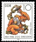 Colnect-1982-698-Sumatran-Orangutan-Pongo-pygmaeus-abeli.jpg