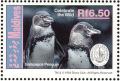 Colnect-4200-431-Galapagos-Penguin%C2%A0Spheniscus-mendiculus.jpg
