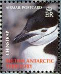 Colnect-4568-905-Chinstrap-Penguin-Pygoscelis-antarcticus.jpg