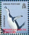 Colnect-4568-932-Chinstrap-Penguin-Pygoscelis-antarcticus.jpg