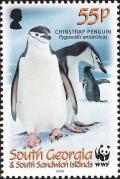 Colnect-4571-635-Chinstrap-Penguin-Pygoscelis-antarcticus.jpg