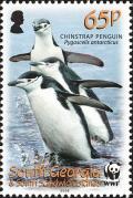 Colnect-4571-637-Chinstrap-Penguin-Pygoscelis-antarcticus.jpg