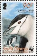 Colnect-4571-638-Chinstrap-Penguin-Pygoscelis-antarcticus.jpg