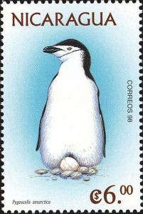 Colnect-4566-606-Chinstrap-Penguin-Pygoscelis-antarcticus.jpg