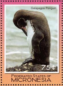Colnect-1620-638-Galapagos-Penguin%C2%A0Spheniscus-mendiculus.jpg