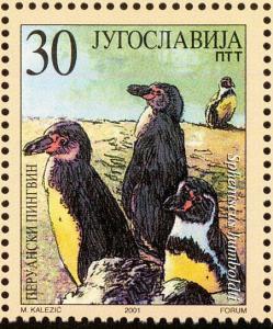 Colnect-3320-401-Humboldt-Penguin-Spheniscus-humboldti.jpg