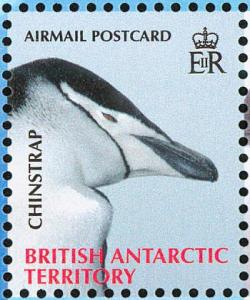 Colnect-4568-929-Chinstrap-Penguin-Pygoscelis-antarcticus.jpg