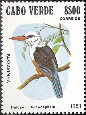 Colnect-1126-590-Grey-headed-Kingfisher-Halcyon-leucocephala.jpg