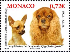 Colnect-1153-558-Chihuahua-Cavalier-King-Charles-Spaniel-Canis-lupus-famili.jpg