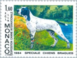 Colnect-148-998-Auvergne-Pointing-Dog-Canis-lupus-familiaris.jpg