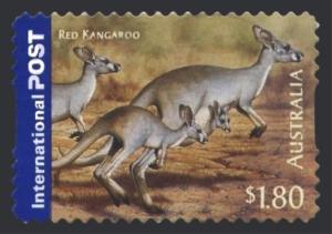 Colnect-1495-728-Red-Kangaroo-Macropus-rufus.jpg
