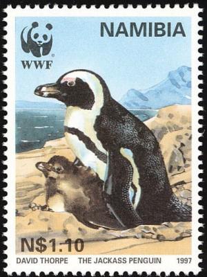 Colnect-1502-640-African-Penguin-Spheniscus-demersus.jpg