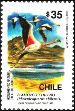 Colnect-2912-438-Chilean-Flamingo-Phoenicopterus-chilensis-.jpg