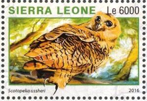 Colnect-3566-110-Rufous-Fishing-Owl---Scotopelia-ussheri.jpg
