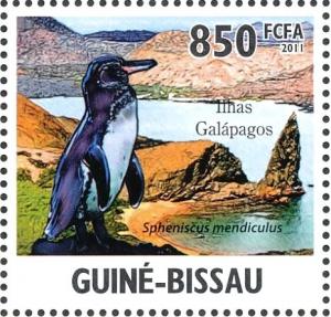 Colnect-3967-968-Galapagos-Penguin-Spheniscus-mendiculus.jpg