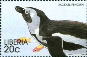 Colnect-3977-599-Jackass-Penguin-Spheniscus-demersus.jpg