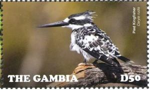 Colnect-4029-024-Pied-Kingfisher%C2%A0Ceryle-rudis.jpg