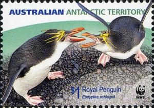 Colnect-4267-558-Royal-Penguin-Eudyptes-schlegeli.jpg