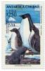 Colnect-558-295-Adelie-Penguin-Pygoscelis-adeliae.jpg