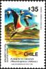 Colnect-2912-438-Chilean-Flamingo-Phoenicopterus-chilensis-.jpg