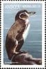 Colnect-4257-085-Galapagos-Penguin-Spheniscus-mendiculus.jpg