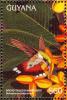 Colnect-4633-417-Broad-tailed-Hummingbird----Selasphorus-platycercus.jpg