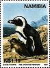 Colnect-5909-967-African-Penguin-Spheniscus-demersus.jpg