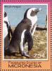 Colnect-1620-636-African-Penguin-Spheniscus-demersus.jpg