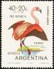 Colnect-1503-711-Chilean-Flamingo-Phoenicopterus-chilensis.jpg