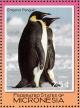 Colnect-1620-637-Emperor-Penguin-Aptenodytes-forsteri.jpg