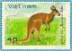 Colnect-1627-898-Red-Kangaroo-Macropus-rufus.jpg