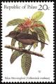 Colnect-1637-965-Palau-Morningbird%C2%A0Pitohui-tenebrosus-.jpg