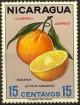 Colnect-2055-767-Orange-Citrus-sinensis.jpg