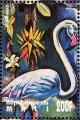 Colnect-2376-039-Flamingo-Phoenicopterus-sp.jpg
