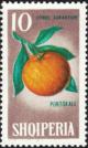 Colnect-5562-658-Orange-Citrus-sinensis.jpg