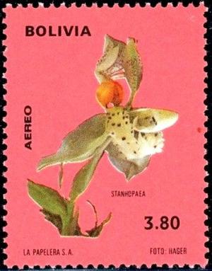 Colnect-5087-028-Stanhopea-grandiflora.jpg
