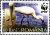 Stamps_of_Romania%2C_2006-112.jpg