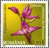 Stamps_of_Romania%2C_2007-018.jpg