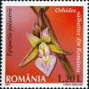 Stamps_of_Romania%2C_2007-019.jpg