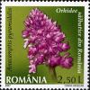 Stamps_of_Romania%2C_2007-021.jpg