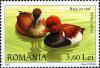 Stamps_of_Romania%2C_2007-061.jpg